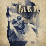 Track cover