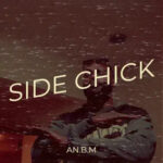 Track cover